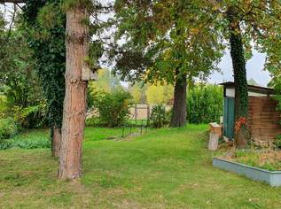 Preisreduktion!! - Grüne Oase mit Potential direkt am Stadtrand von Mistelbach, 190000 €, Immobilien-Häuser in 2130 Mistelbach