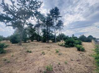Baugrundstücke mit hervorragendem Preis-Leistungs-Verhältnis – Ideal für Eigenheim oder Investment, 214000 €, Immobilien-Grund und Boden in 2230 Gemeinde Gänserndorf