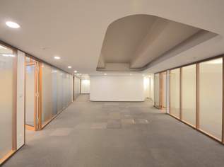 Modernes, hochwertiges Büro in 1010, 17995.05 €, Immobilien-Gewerbeobjekte in 1010 Innere Stadt Modernes, hochwertiges Büro in 1010, 17995.05 €, Immobilien-Gewerbeobjekte in 1010 Innere Stadt