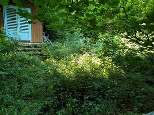 Ruhiges Kleingartengrundstück am Waldrand, 399000 €, Immobilien-Grund und Boden in 1170 Hernals