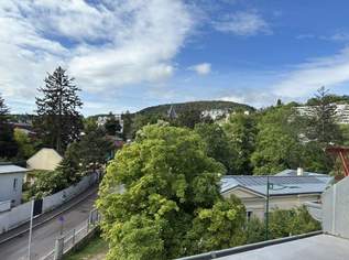MÖDLING MAISONETTE-WOHNUNG 150 m2 und 14 m2 TERRASSE, 670000 €, Immobilien-Wohnungen in 2340 Gemeinde Mödling