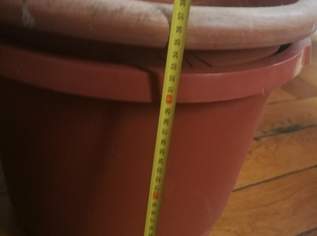 2x Pflanztopfe mit Topf-Untersetzer bzw. Übertopf (Durchmesser 55 cm / Hoch 44 cm und Durchmesser 45 cm / Hoch 37 cm) 2x Pflanztopfe mit Topf-Untersetzer bzw. Übertopf (Durchmesser 55 cm / Hoch 44 cm und Durchmesser 45 cm / Hoch 37 cm)