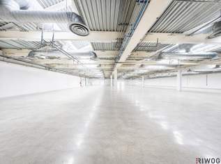 Produktions-/Lagerfläche mit ca. 2.000m² | ebenerdig & beheizt | direkte Autobahnanbindung, 10 €, Immobilien-Gewerbeobjekte in 2100 Korneuburg