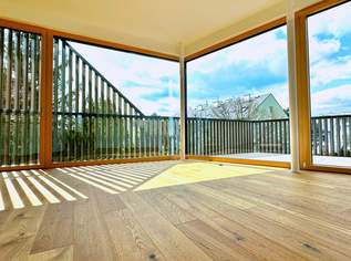 Exklusive Penthousewohnung mit großzügigen Außenflächen, 1163675 €, Immobilien-Wohnungen in 1130 Hietzing