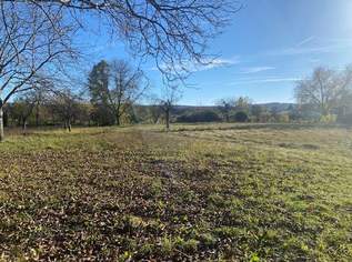 Aufgeschlossenes Baugrundstück in Ruhelage! Teilbar!, 722800 €, Immobilien-Grund und Boden in 2821 Lanzenkirchen