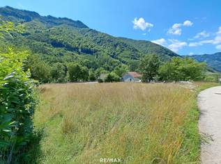 1.397 m² Baugrund ohne Bauzwang - Reichraming / Ennstal, Nationalpark Kalkalpen, 99999 €, Immobilien-Grund und Boden in 4462 Reichraming