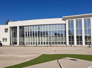 MODERNES GEWERBEOBJEKT - für VIELFÄLTIGE Möglichkeiten, null €, Immobilien-Gewerbeobjekte in Niederösterreich