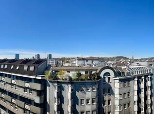 Komplett sanierte, helle 3,5-Zimmer-Wohnung mit Loggia und toller Fernsicht - verfügbar ab Juli 2026, 395000 €, Immobilien-Wohnungen in Oberösterreich