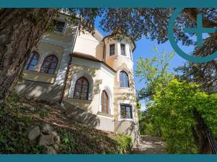 Anwesen mit Parkanlage, 3940000 €, Immobilien-Häuser in 2500 Gemeinde Baden Anwesen mit Parkanlage, 3940000 €, Immobilien-Häuser in 2500 Gemeinde Baden