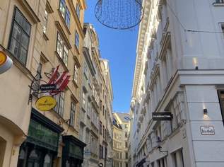 Grabennähe! Dachmaisonette mit bezaubernden Dachgarten in denkmalgeschütztem Barockhaus!, 6878.89 €, Immobilien-Wohnungen in 1010 Innere Stadt