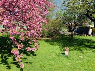 TOP-Preis! Großes Wohnhaus mit großem Garten freut sich auf neues Leben, 380000 €, Immobilien-Häuser in 2130 Lanzendorf