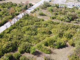 Betriebsbaugrundstück im Industriegebiet Sollenau (NÖ), 10753800 €, Immobilien-Gewerbeobjekte in 2601 Sollenau