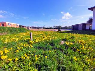 Sonniges Baugrundstück, 199000 €, Immobilien-Grund und Boden in 4502 Weichstetten