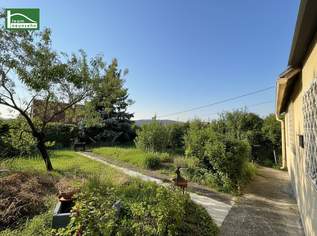 Sonniges Weitblick-Grundstück im Kleingarten in Breitensee auf Eigengrund mit ganzjährigem Wohnen!, 379000 €, Immobilien-Grund und Boden in 1140 Penzing