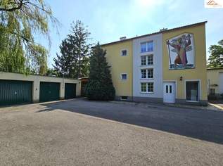 Wohnhaus mit 2.200m² großem Grundstück, Halle und Garagen, 490000 €, Immobilien-Häuser in 2620 Gemeinde Neunkirchen