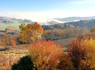 Provisionsfrei! Traumhafter Weitblick bis zur Riegersburg, 350000 €, Immobilien-Häuser in 8324 Oberdorf am Hochegg