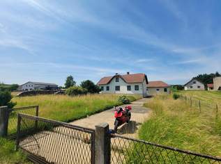 Sanierungsbedürftiges Haus mit POTENZIAL! Leben in Natur und Ruhe., 95000 €, Immobilien-Häuser in 3062 Katastralgemeinde Kirchstetten