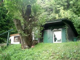 EINMALIGE Gelegenheit -Charmantes Haus mit Ausblick, 840 €, Immobilien-Häuser in 3400 Gemeinde Klosterneuburg