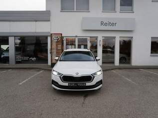 Octavia Combi 2,0 TDI DSG *LED*VIRTUAL*SHZ*ACC*, 18888 €, Auto & Fahrrad-Autos in 4600 Wels