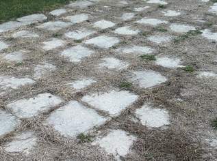 Waschbetonplatten , 0 €, Haus, Bau, Garten-Hausbau & Werkzeug in 2320 Schwechat