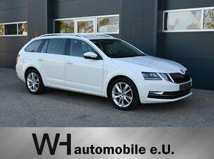 Octavia Kombi 1,6 TDI Style Limited, 16490 €, Auto & Fahrrad-Autos in 3331 Gemeinde Kematen an der Ybbs