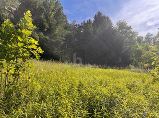 RUHIGES LEBEN IN IDYLLISCHER WALDRANDLAGE, 105000 €, Immobilien-Grund und Boden in 4782 Badhöring RUHIGES LEBEN IN IDYLLISCHER WALDRANDLAGE, 105000 €, Immobilien-Grund und Boden in 4782 Badhöring