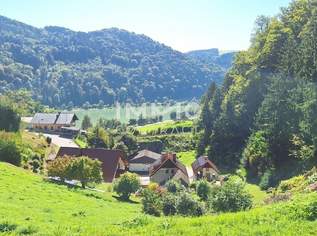 Baugrund 1.177 m² mit Donaublick - Südhang - mit angrenzenden kleinen Grünland 255 m² - St. Nikola, 44500 €, Immobilien-Grund und Boden in 4381 Sankt Nikola an der Donau