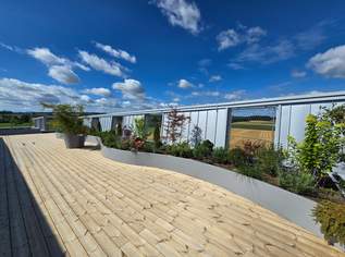 Erstbezug: Hochwertige und barrierefrei erreichbare Büroflächen in sehr guter Verkehrslage (M1), 0 €, Immobilien-Gewerbeobjekte in 4715 Taufkirchen an der Trattnach Erstbezug: Hochwertige und barrierefrei erreichbare Büroflächen in sehr guter Verkehrslage (M1), 0 €, Immobilien-Gewerbeobjekte in 4715 Taufkirchen an der Trattnach
