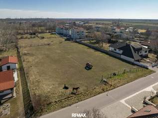 Exklusives Baugrundstück in Gols – Ideales Projektpotenzial für Investoren und Bauträger - zu kaufen!, 1250000 €, Immobilien-Grund und Boden in 7122 Gols