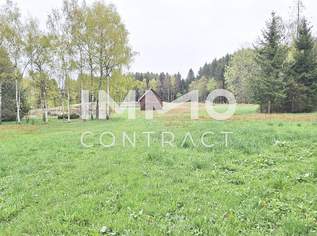 Großes Grundstück mit Fischteich und Badeteich, Erholungsanlage, Freizeitparadies mit viel Potenzial, 280000 €, Immobilien-Grund und Boden in 3632 Bad Traunstein Großes Grundstück mit Fischteich und Badeteich, Erholungsanlage, Freizeitparadies mit viel Potenzial, 280000 €, Immobilien-Grund und Boden in 3632 Bad Traunstein