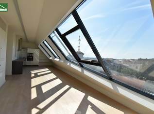 Über den Wolken - Herrschaftliches DG-Penthouse auf 2 Ebenen mit großer Dachterrasse und Weitblick im begehrten 18.Bezirk inkl. 2 Stellplätze! - JETZT ZUSCHLAGEN, 1750000.24 €, Immobilien-Wohnungen in 1180 Währing