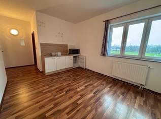 ANLEGERHIT – Mini-Apartment mit Badezimmer in zentraler Lage - Zimmer 20! Nähe BMW, SKF!!!, 54964 €, Immobilien-Wohnungen in 4400 Steyr