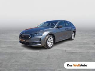 Octavia Selection TDI DSG, 31490 €, Auto & Fahrrad-Autos in 8753 Fohnsdorf
