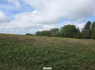 Landwirtschaftliche Grundstücke samt Wald in Stadtschlaining, 14500 €, Immobilien-Grund und Boden in 7461 Stadtschlaining Landwirtschaftliche Grundstücke samt Wald in Stadtschlaining, 14500 €, Immobilien-Grund und Boden in 7461 Stadtschlaining