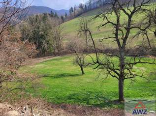 Bauernhof mit arrondiertem Grund in Alleinlage im Voralpengebiet!, 0 €, Immobilien-Häuser in 3153 Gemeinde Eschenau