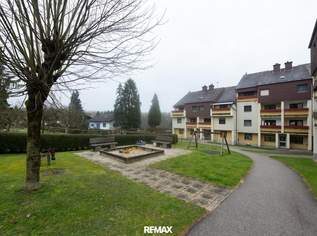 Mietwohnung mit fabelhaften Ausblick in absoluter Ruhelage! Neue Fenster! Nur € 1.597,- /m², 900 €, Immobilien-Wohnungen in 3313 Wallsee