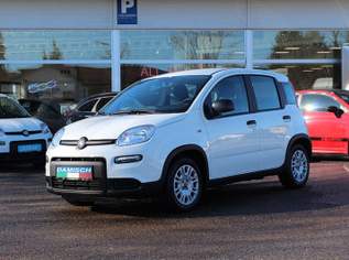 Panda 4x2 FireFly Hybrid 70, 13890 €, Auto & Fahrrad-Autos in 8046 Stattegg Panda 4x2 FireFly Hybrid 70, 13890 €, Auto & Fahrrad-Autos in 8046 Stattegg
