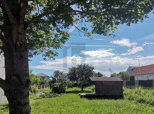 TRAUMGRUND FÜR IHR TRAUMHAUS - KEIN BAUZWANG, 280000 €, Immobilien-Grund und Boden in 7083 Purbach am Neusiedler See TRAUMGRUND FÜR IHR TRAUMHAUS - KEIN BAUZWANG, 280000 €, Immobilien-Grund und Boden in 7083 Purbach am Neusiedler See