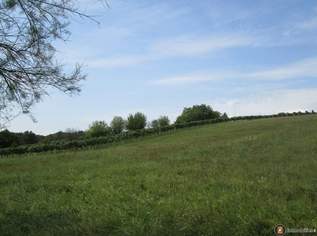 Strem: Großes, sonniges Grundstück in der Kellerzone, 67000 €, Immobilien-Grund und Boden in 7522 Gemeinde Strem