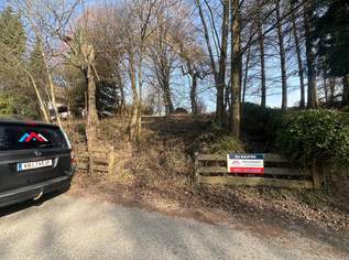 Quadratmeterpreis von 60 Euro! Einzigartiges Freizeitgrundstück / Baugrundstück ohne Bauzwang mit alten Baumbestand, 70000 €, Immobilien-Grund und Boden in 4760 Raab