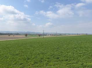 2 Grundstücke in Dorf an der Pram, 85 €, Immobilien-Grund und Boden in 4751 Schatzdorf