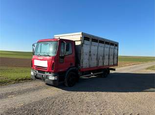 LKW Iveco, 6500 €, Auto & Fahrrad-Traktoren & Nutzfahrzeuge in 2091 Gemeinde Langau