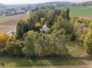 Viel Platz im Grünen: Haus mit Garage auf 8.580 m² Grundstück in Plankenberg, 410000 €, Immobilien-Häuser in 3451 Plankenberg
