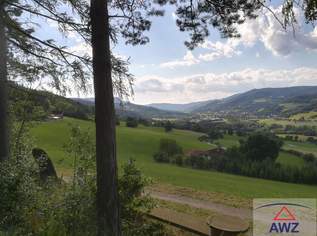 Schöner Baugrund im Meran des Waldviertels!, 65 €, Immobilien-Grund und Boden in 3650 Gemeinde Pöggstall Schöner Baugrund im Meran des Waldviertels!, 65 €, Immobilien-Grund und Boden in 3650 Gemeinde Pöggstall