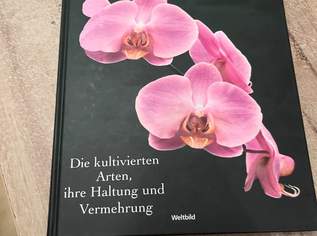 Orchideen, 2 €, Marktplatz-Bücher & Bildbände in 4673 Gaspoltshofen