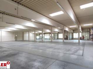 Große Hallenfläche mit Büro, 8640 €, Immobilien-Gewerbeobjekte in 4063 Hörsching