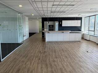 Exklusive Bürofläche mit Weitblick: Modernes Arbeiten im "SKYLINE" 1190 Wien, 15553.68 €, Immobilien-Gewerbeobjekte in 1190 Döbling