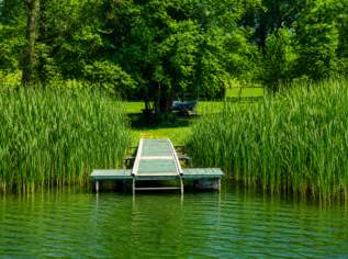 Direkt am Obertrumer See: Badegrundstück mit Steg, Boje & Weinfass-Schlafplatz, 0 €, Immobilien-Grund und Boden in 5163 Mattsee Direkt am Obertrumer See: Badegrundstück mit Steg, Boje & Weinfass-Schlafplatz, 0 €, Immobilien-Grund und Boden in 5163 Mattsee