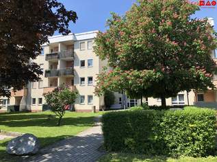 Geförderte Seniorenwohnung mit sonniger Loggia, barrierearmem Komfort und Aufzug - exklusiv nur für Pensionisten, die ruhig und selbstständig wohnen möchten!, 367.52 €, Immobilien-Wohnungen in 4400 Steyr Geförderte Seniorenwohnung mit sonniger Loggia, barrierearmem Komfort und Aufzug - exklusiv nur für Pensionisten, die ruhig und selbstständig wohnen möchten!, 367.52 €, Immobilien-Wohnungen in 4400 Steyr