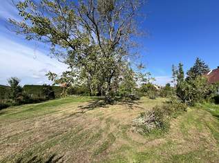 Baugrundstück Nr.1 in toller Lage, 259000 €, Immobilien-Grund und Boden in 2551 Enzesfeld Baugrundstück Nr.1 in toller Lage, 259000 €, Immobilien-Grund und Boden in 2551 Enzesfeld